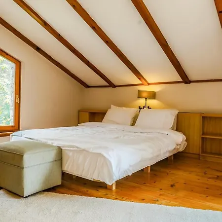 Spacious Private With Pool In Sile * Ahmetli